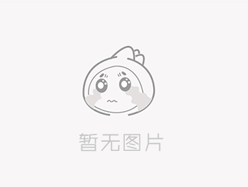 上市公司业绩大揭秘，教你吸引投资者眼球